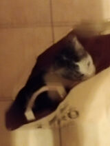 Fotka uživatele Maja006i