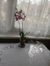 Фото користувача wasiakkrystyna060