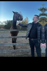 Foto utilizatorului mazur666