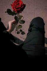 Фото користувача yoyo5766