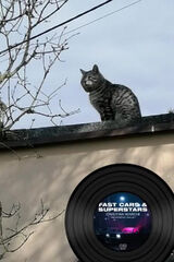 Zdjęcie użytkownika mateuszkrolikows30