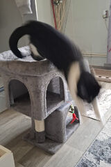 Фотография пользователя Bobocobra