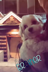 Foto pengguna Cielaczek420