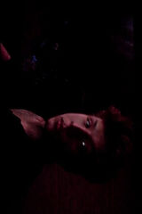 Fotka uživatele jakubkafs