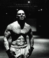 Fotka uživatele m8r5yghknp