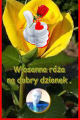 Fotka uživatele KrzysztofNamyslo