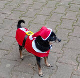 Zdjęcie użytkownika aliceagyeikyere