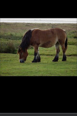 Zdjęcie użytkownika brunetka1202