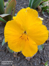 Zdjęcie użytkownika pgorski303