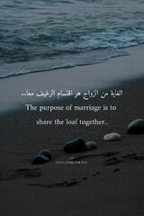 Фото користувача Bouchebat