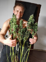 Фотография пользователя Kamil0591