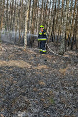 Фото користувача WKamil