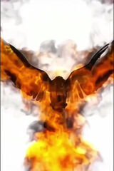 Zdjęcie użytkownika oskarpepino1983