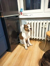 Fotka uživatele pannn69