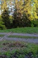 Foto utilizatorului SiPatron