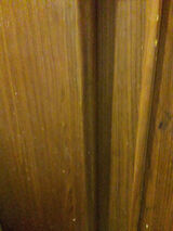 Zdjęcie użytkownika elkatomaszewka