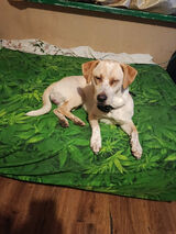 Фото користувача u9813864528