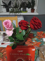 Фотография пользователя Gwiazdeczka09