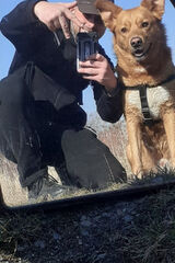 Foto pengguna WloczykijwPodrozy