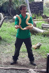 Zdjęcie użytkownika MikiFigi