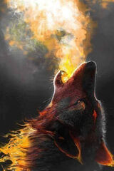 Zdjęcie użytkownika Piotr0032