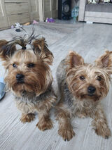 Zdjęcie użytkownika aniax1x