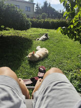 Zdjęcie użytkownika echrobo