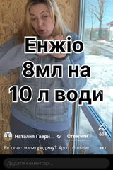 Photos foresstwwin1967w