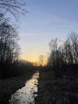 Foto utilizatorului ogdaniel