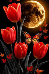 Zdjęcie użytkownika Edek2222