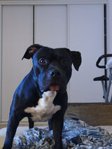 Фото користувача Czarodziej86