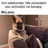 Foto pengguna weihsrobert355