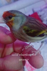 Zdjęcie użytkownika hxjxjfihdhjdud