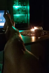 Zdjęcie użytkownika RafalTulnowski