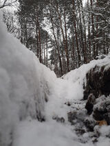 Fotos Tajemniczy0987