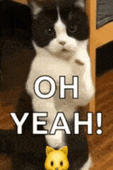 Fotos sylwekpawlak75