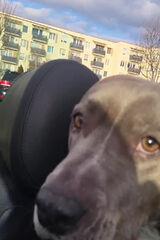 Foto utilizatorului NaTuRaLiS933