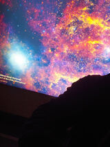 Photos psychojoker600