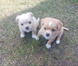 Foto pengguna kasia2252000