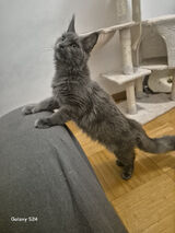 Zdjęcie użytkownika Andrzej34403213