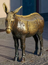 Фото користувача PrzemyslawGolebi35