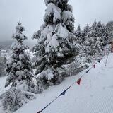 Foto utilizatorului anfet4minka