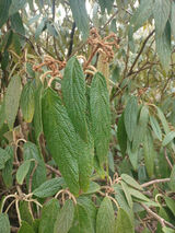 Photos boguslawboguslaw74