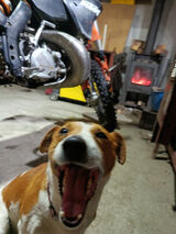 Fotka uživatele FiFiFiFix