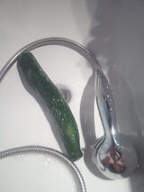 Fotka uživatele doctorpee77