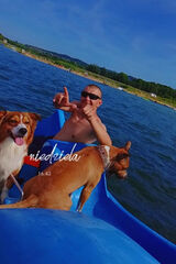 Foto utilizatorului Zakretzakret