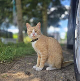 Zdjęcie użytkownika malgorzatasaczyk95