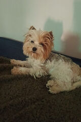 Photos jakubkozlowski90