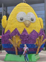 Zdjęcie użytkownika BarbaraGol