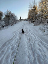 Фото користувача SzymonMszana